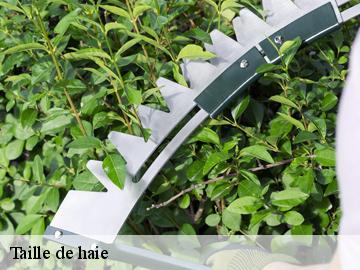 Taille de haie orvilliers-78910 WT espace vert