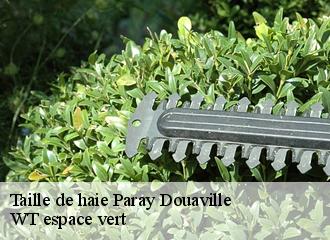 Taille de haie paray-douaville-78660 WT espace vert