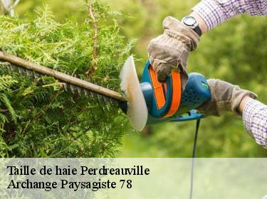 Taille de haie  perdreauville-78200 Archange Paysagiste 78