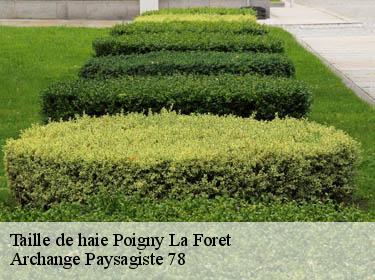 Taille de haie  poigny-la-foret-78125 Archange Paysagiste 78
