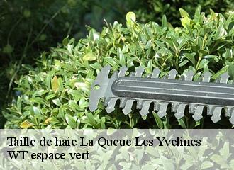 Taille de haie la-queue-les-yvelines-78940 WT espace vert