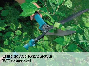 Taille de haie rennemoulin-78590 WT espace vert
