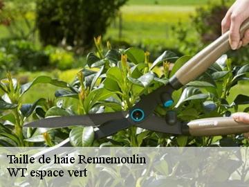 Taille de haie rennemoulin-78590 WT espace vert
