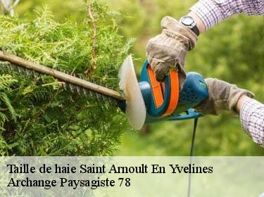 Taille de haie  saint-arnoult-en-yvelines-78730 Archange Paysagiste 78