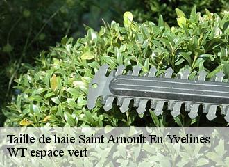 Taille de haie saint-arnoult-en-yvelines-78730 Archange Elagage