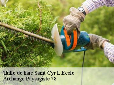 Taille de haie  saint-cyr-l-ecole-78210 Archange Paysagiste 78