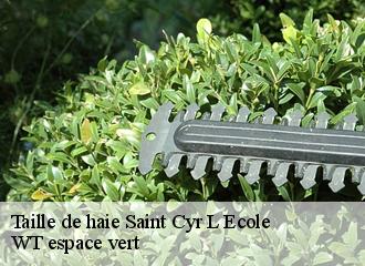 Taille de haie  saint-cyr-l-ecole-78210 WT espace vert 