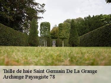 Taille de haie  saint-germain-de-la-grange-78640 Archange Paysagiste 78