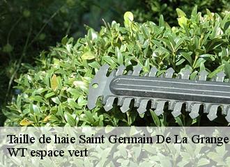 Taille de haie  saint-germain-de-la-grange-78640 WT espace vert 