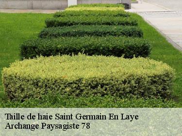 Taille de haie  saint-germain-en-laye-78100 Archange Paysagiste 78