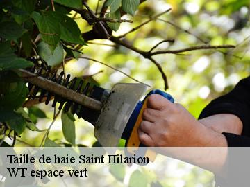 Taille de haie saint-hilarion-78125 WT espace vert
