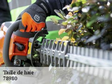 Taille de haie saint-illiers-la-ville-78980 WT espace vert