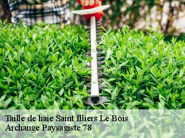 Taille de haie  saint-illiers-le-bois-78980 Archange Paysagiste 78