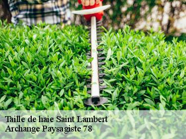 Taille de haie  saint-lambert-78470 Archange Paysagiste 78
