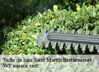 Taille de haie saint-martin-brethencourt-78660 WT espace vert
