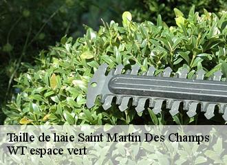 Taille de haie saint-martin-des-champs-78790 WT espace vert