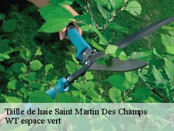 Taille de haie saint-martin-des-champs-78790 WT espace vert