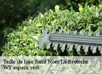 Taille de haie  saint-nom-la-breteche-78860 Archange Paysagiste 78