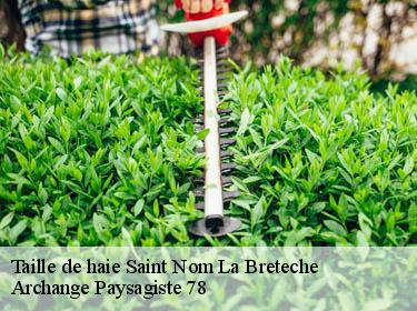 Taille de haie  saint-nom-la-breteche-78860 Archange Paysagiste 78