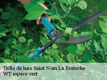 Taille de haie  saint-nom-la-breteche-78860 Archange Paysagiste 78