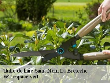 Taille de haie  saint-nom-la-breteche-78860 Archange Paysagiste 78