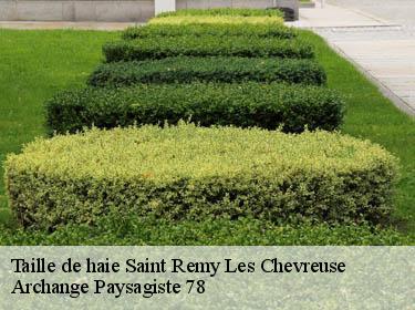 Taille de haie  saint-remy-les-chevreuse-78470 Archange Paysagiste 78