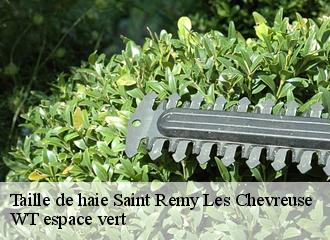Taille de haie saint-remy-les-chevreuse-78470 WT espace vert