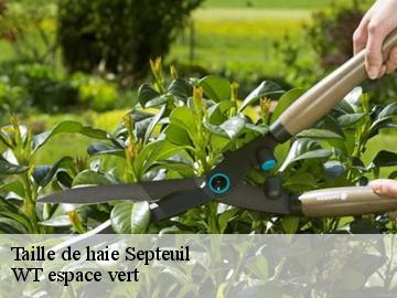 Taille de haie  septeuil-78790 Archange Paysagiste 78