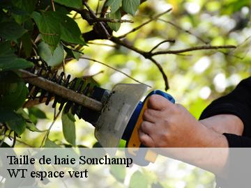 Taille de haie  sonchamp-78120 Archange Paysagiste 78