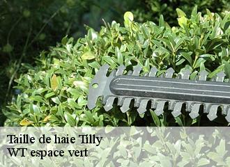 Taille de haie tilly-78790 WT espace vert