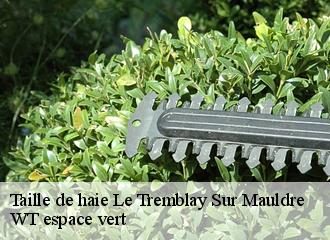 Taille de haie le-tremblay-sur-mauldre-78490 WT espace vert