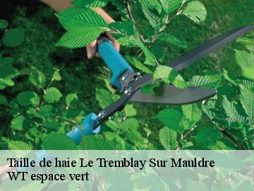 Taille de haie le-tremblay-sur-mauldre-78490 WT espace vert