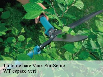 Taille de haie vaux-sur-seine-78740 WT espace vert