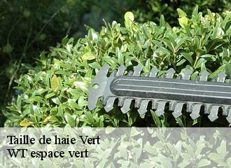 Taille de haie vert-78930 WT espace vert