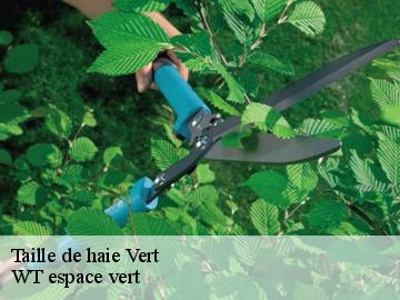 Taille de haie vert-78930 WT espace vert