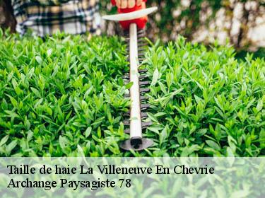 Taille de haie  la-villeneuve-en-chevrie-78270 Archange Paysagiste 78