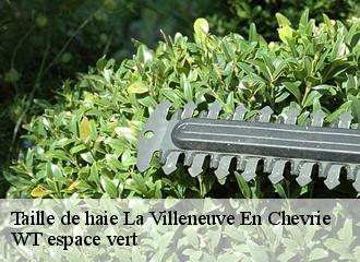 Taille de haie la-villeneuve-en-chevrie-78270 WT espace vert