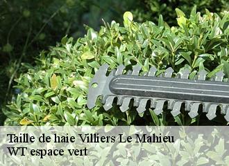 Taille de haie villiers-le-mahieu-78770 WT espace vert