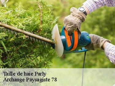 Taille de haie  parly-78150 Archange Paysagiste 78