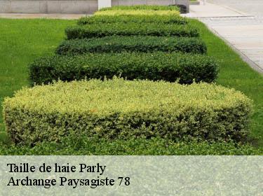 Taille de haie  parly-78150 Archange Paysagiste 78