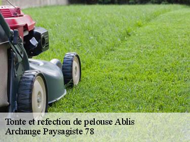 Tonte et refection de pelouse  ablis-78660 Archange Paysagiste 78