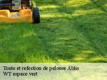 Tonte et refection de pelouse ablis-78660 WT espace vert