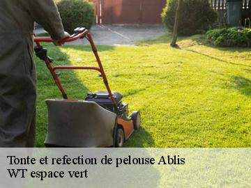 Tonte et refection de pelouse ablis-78660 WT espace vert