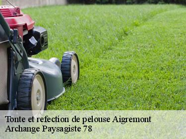 Tonte et refection de pelouse  aigremont-78240 Archange Paysagiste 78