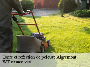 Tonte et refection de pelouse aigremont-78240 WT espace vert