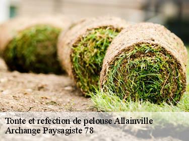 Tonte et refection de pelouse  allainville-78660 Archange Paysagiste 78