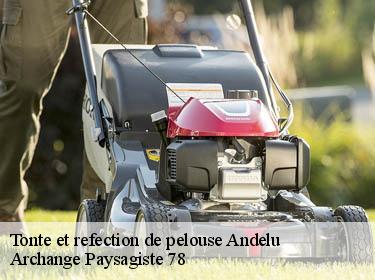 Tonte et refection de pelouse  andelu-78770 Archange Paysagiste 78