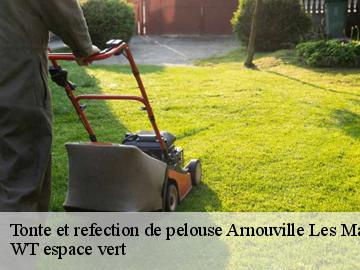 Tonte et refection de pelouse arnouville-les-mantes-78790 WT espace vert