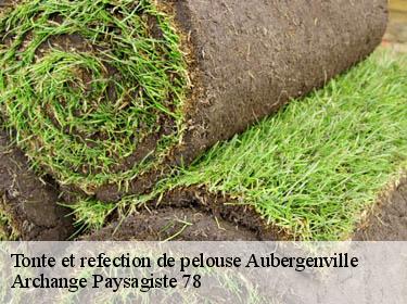Tonte et refection de pelouse  aubergenville-78410 Archange Paysagiste 78