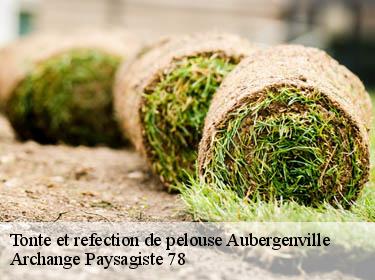 Tonte et refection de pelouse  aubergenville-78410 Archange Paysagiste 78